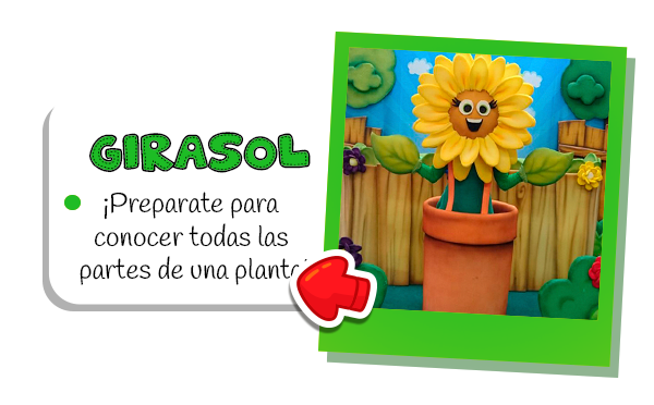 GIRASOL